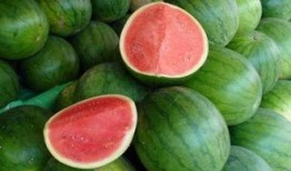 热门大瓜每日必吃大瓜合集